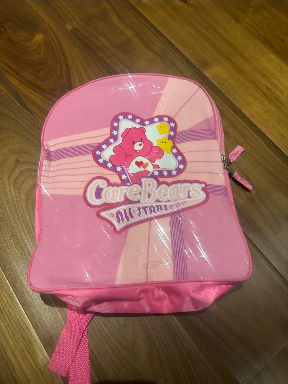 Care Bears Pink Kids Backpack